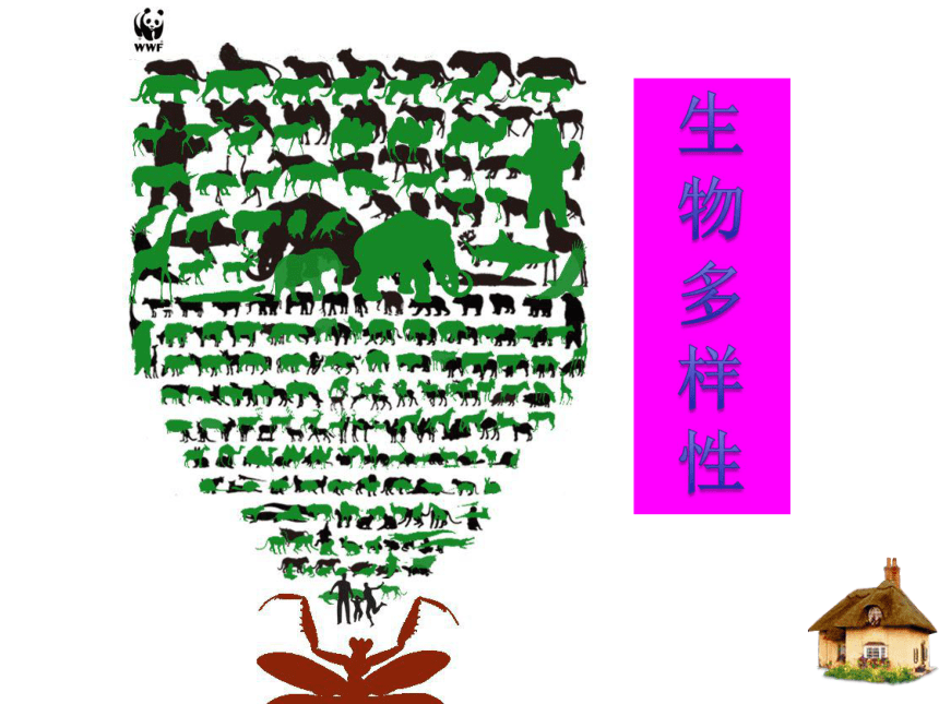 3.1生物多样性 课件(17张ppt