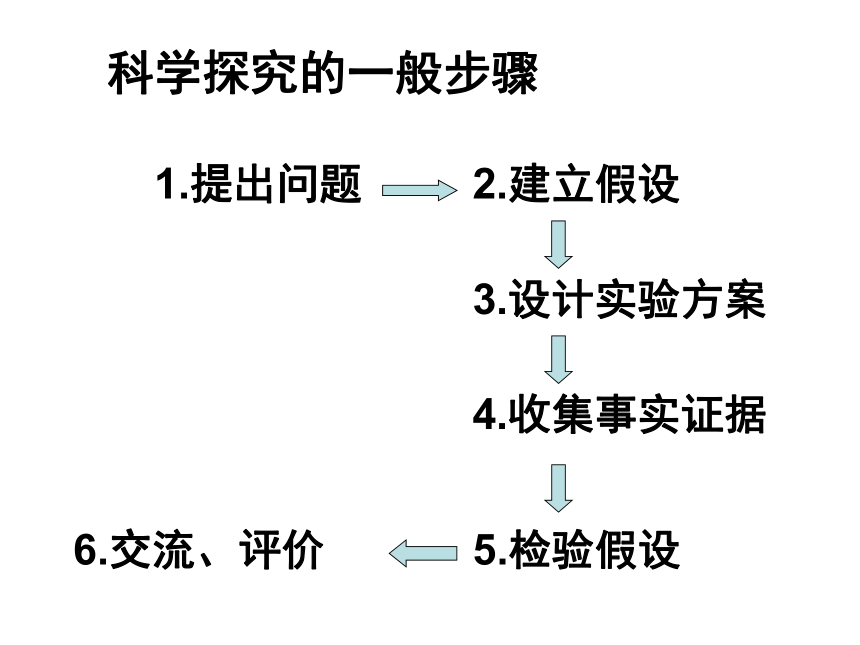 浙教版七年级上册科学15科学探究课件11张ppt