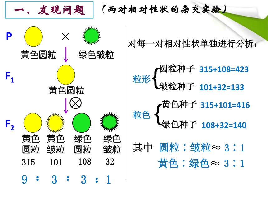 新人教版高一生物必修二12孟德尔的豌豆杂交实验二课件