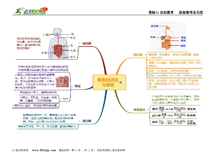 第4章代谢与平衡思维导图