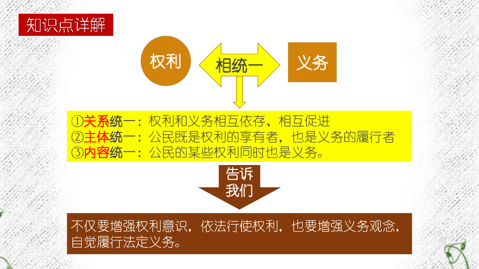 八下道德与法治第二单元理解权利义务复习课件(共18张