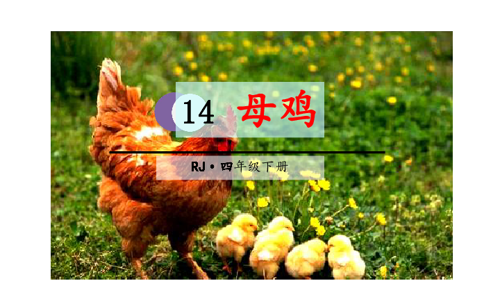 14母鸡课件36张