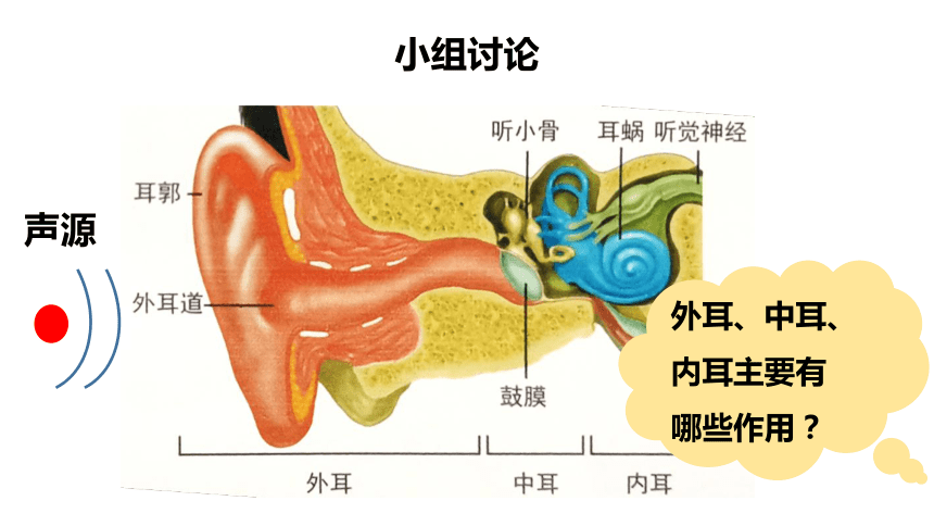 冀人版四年级上册科学课件29怎样听到声音共17张ppt