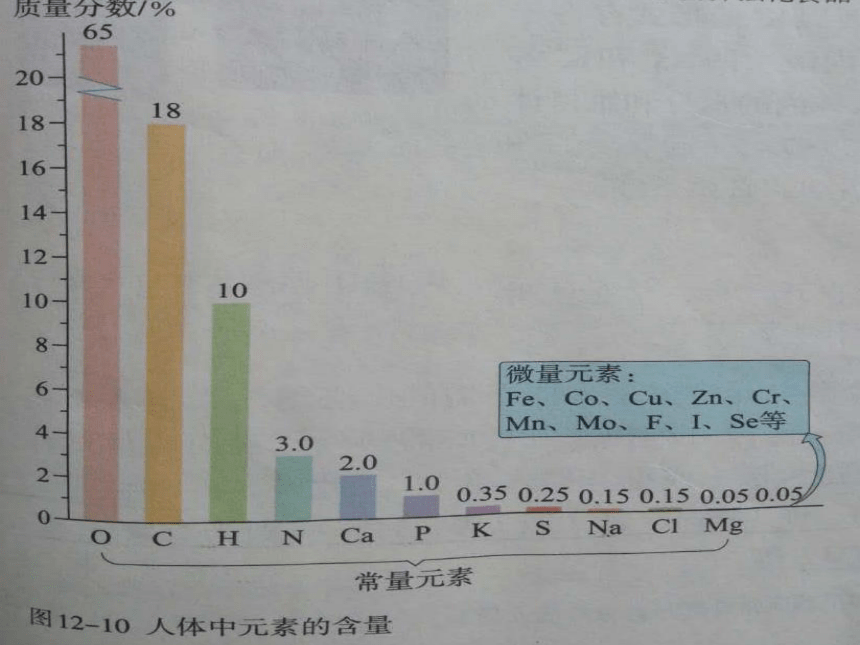 鲁教版九年级下册化学102化学元素与人体健康课件22张ppt