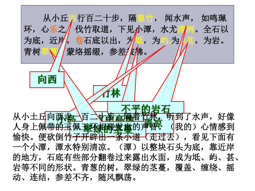 部编本人教版八年级语文下册10小石潭记课件