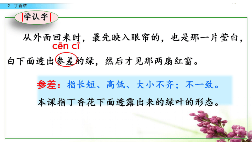 2 丁香结 课件(共49张ppt)