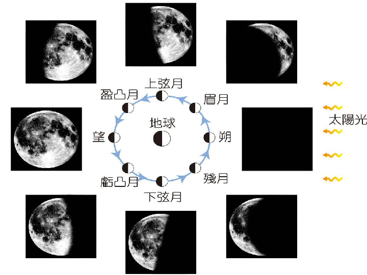 月相的成因 ppt课件 鄂教版六年级科学下册课件