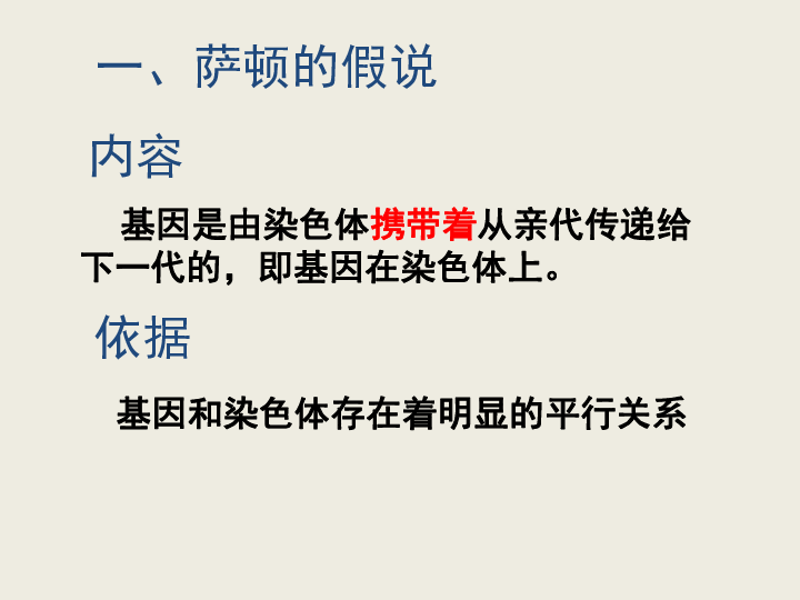 《遗传的染色体学说》课件2(浙教版必修2)