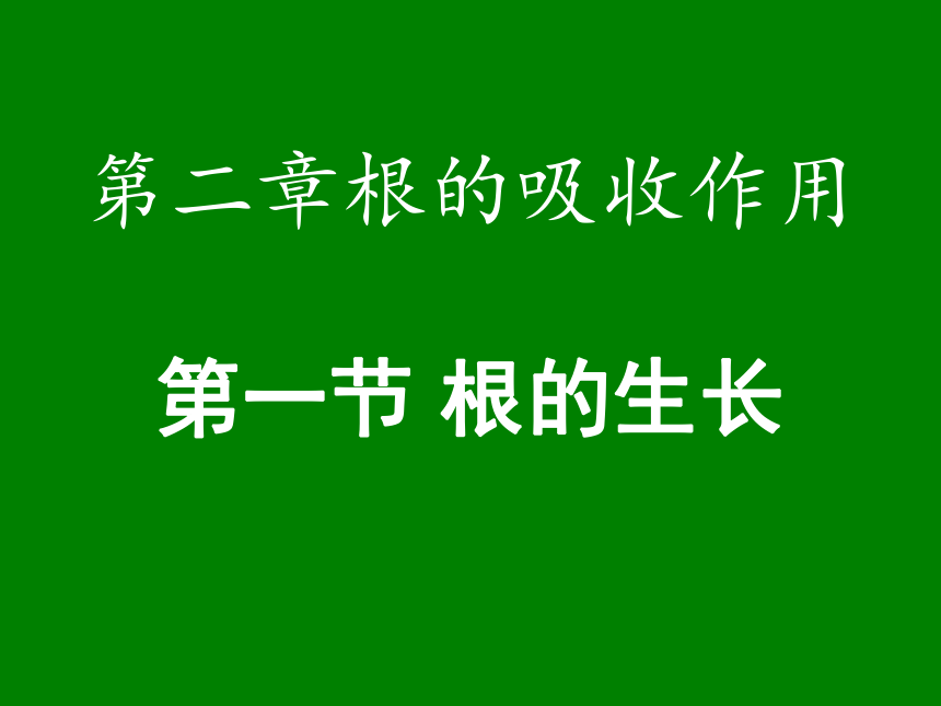 冀教版八上生物321根的生长课件43张ppt