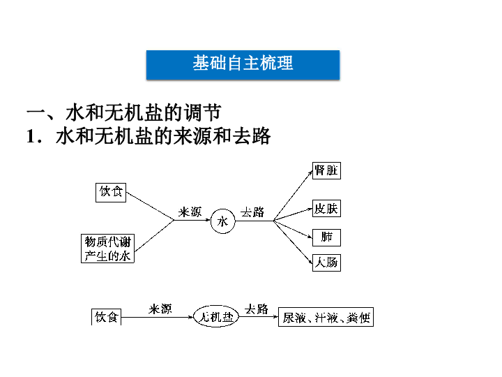 水和无机盐的调节及血糖调节