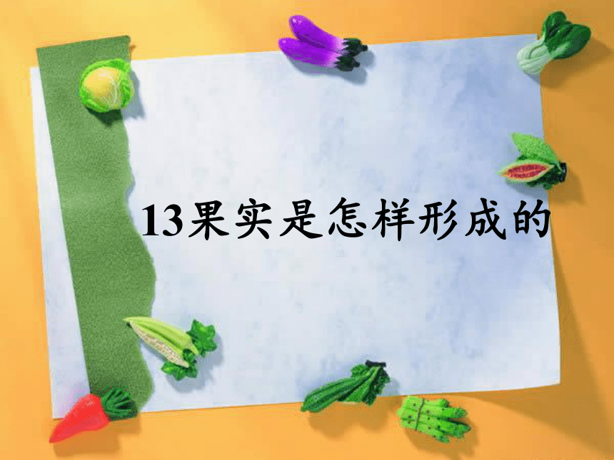 13果实是怎样形成的 (课件