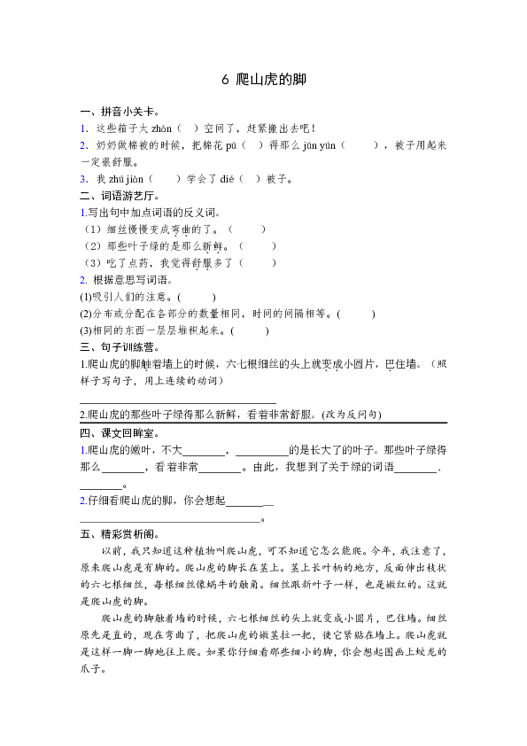 6爬山虎的脚同步练习含答案