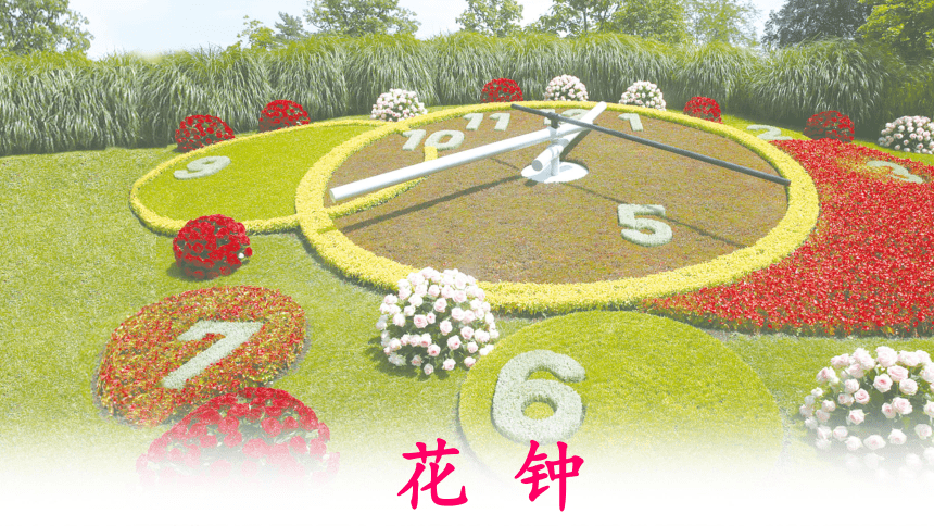 13花钟课件共23张
