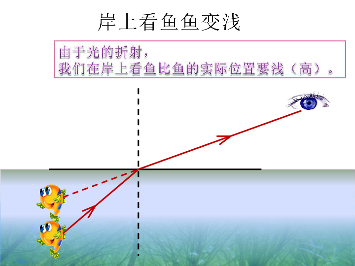 有经验的渔民,使用钢叉向水下叉鱼时,总是向所看见的鱼的下方投叉,你