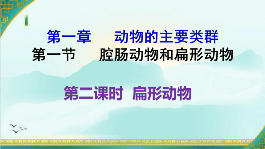 1.1 腔肠动物和扁形动物 第二课时 扁形动物 课件(16张ppt)