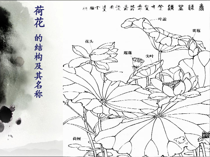 三年级下册美术课件第八课彩墨游戏彩墨荷花湘美版共33张ppt