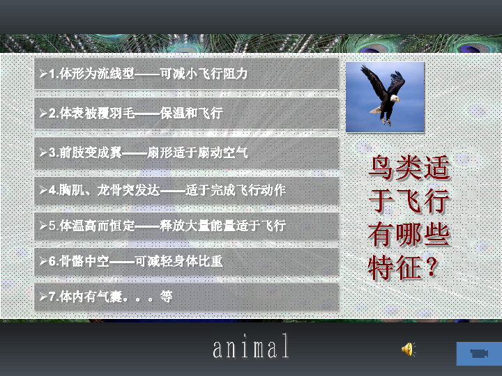 昆虫的翅与鸟翼的结构是不同的,但就适于飞行