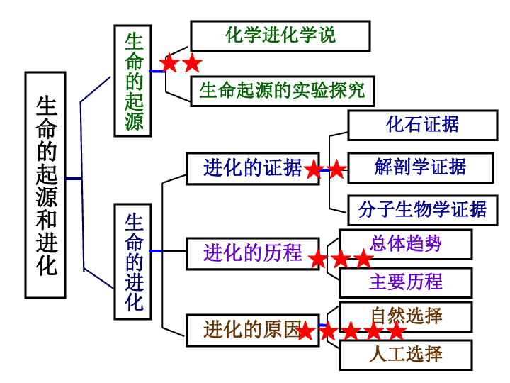 7.3生命的起源和进化 复习课件 (共27张ppt)