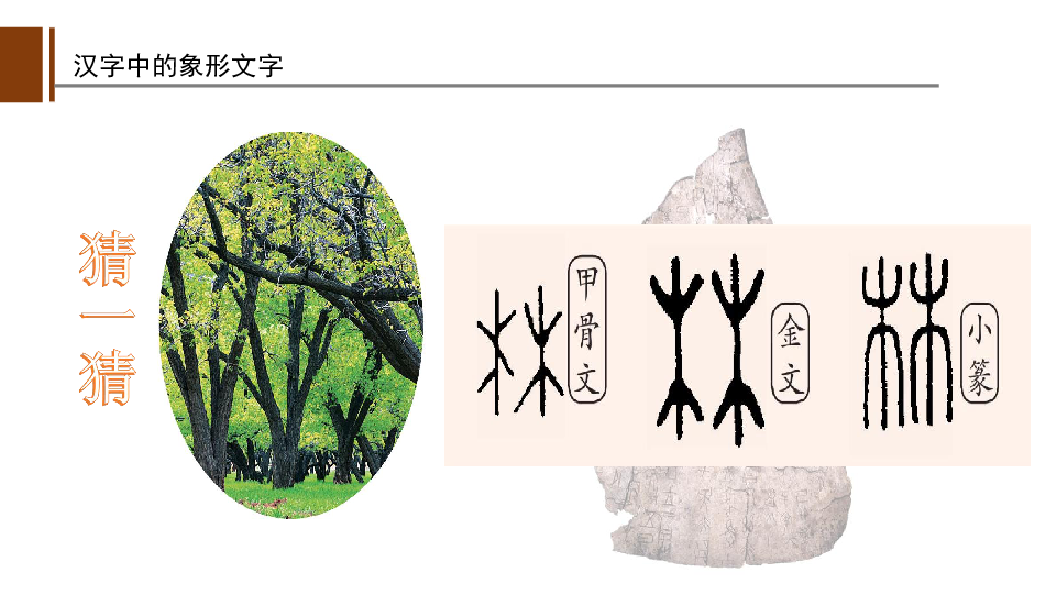 一年级下册美术课件第20课汉字中的象形文字人教版共31张ppt