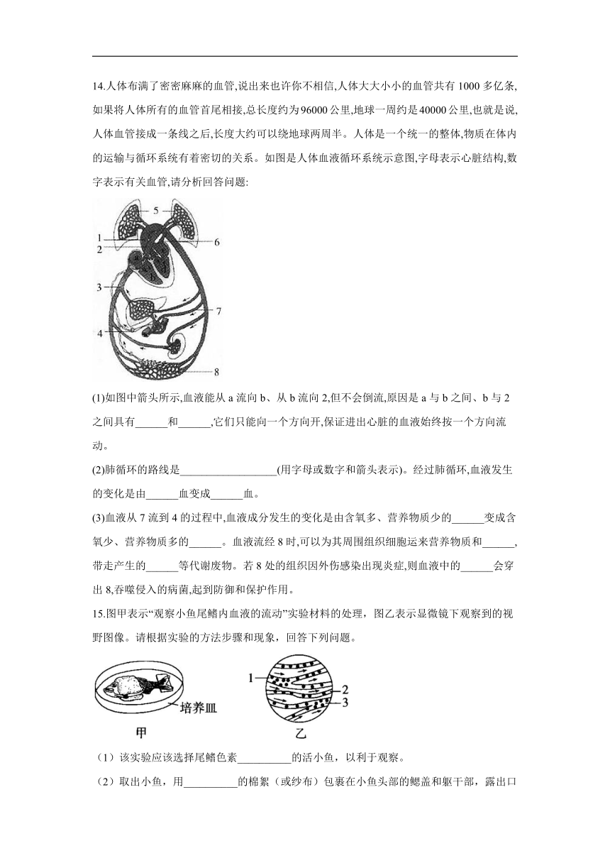 492血液循环word版含解析20212022学年生物北师大版七年级下册同步