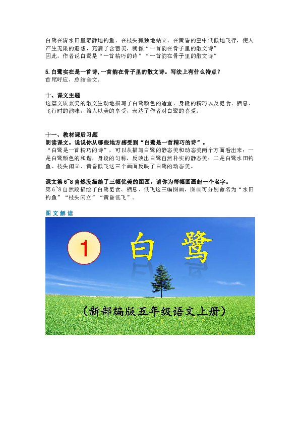 语文 统编版(部编版 五年级上册 第一单元 1 白鹭全屏阅读找相关资料