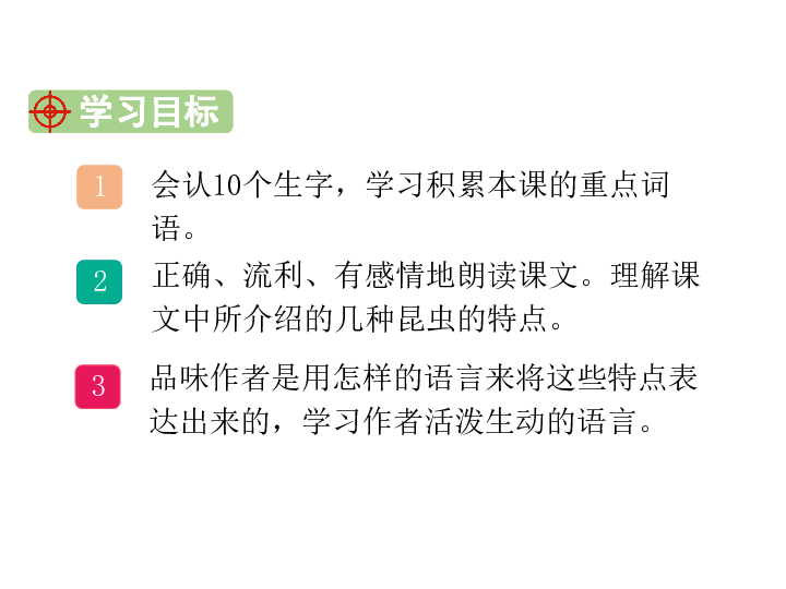 人教部编版语文三年级下册ppt课件4昆虫备忘录33张ppt