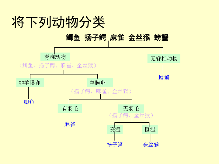 4.4 生物的分类——分类检索表 课件(共25张ppt)
