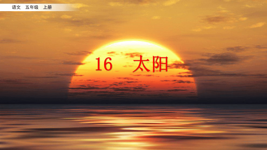 16太阳课件共16张