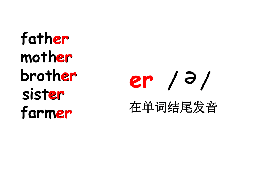 2. 读一读,说一说小鸟受伤的故事.1.找一找ir,ur发音相同的单词.