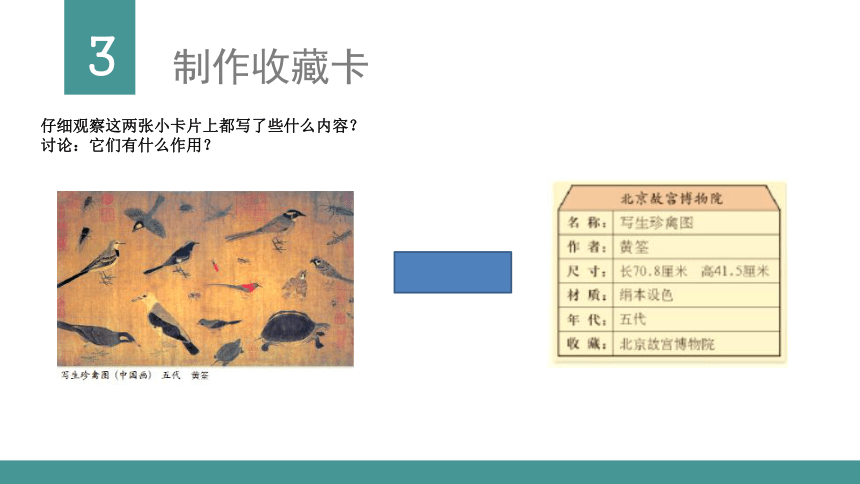 第14课我的收藏卡课件美术二年级下册人美版15张ppt