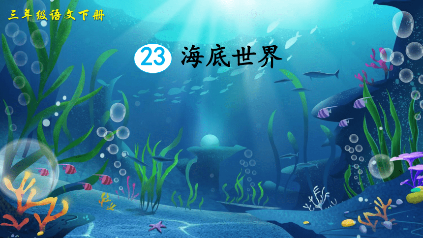 23海底世界教学课件42张