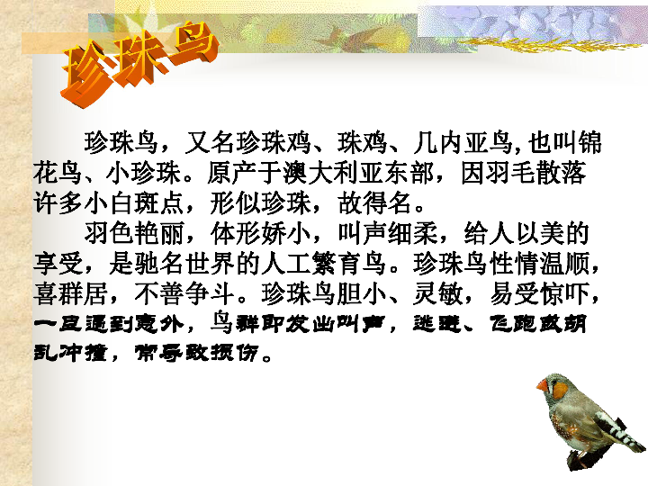人教版五年级上册第四单元16《珍珠鸟》