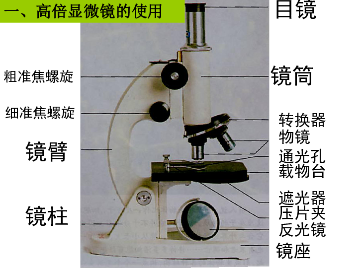 座反光镜压片夹遮光器载物台通光孔物镜转换器一,高倍显微镜的使用