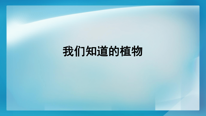 教科版2017秋一年级上册科学课件11我们知道的植物课件12ppt