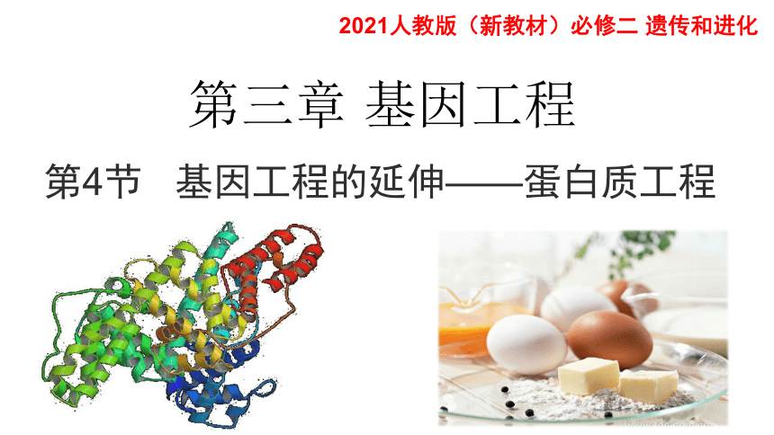 34蛋白质工程的崛起课件新教材20202021学年人教版2019高二生物选择性