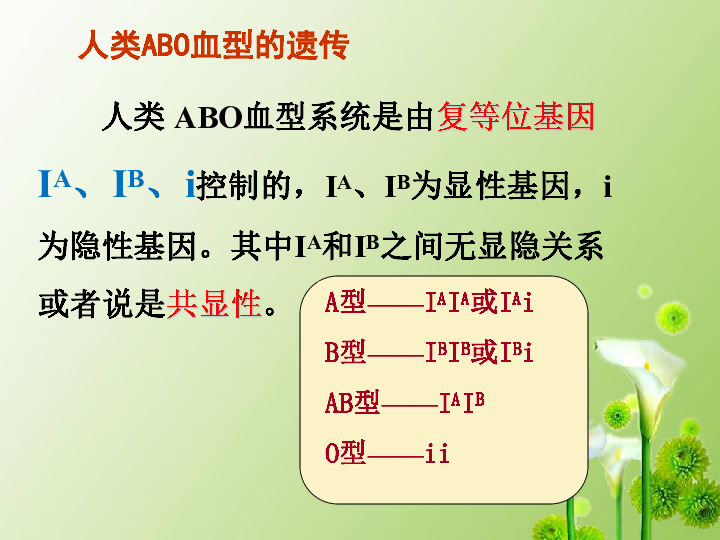 高中 生物 人教版(新课程标准) 必修2《遗传与进化》 第二章 基因和