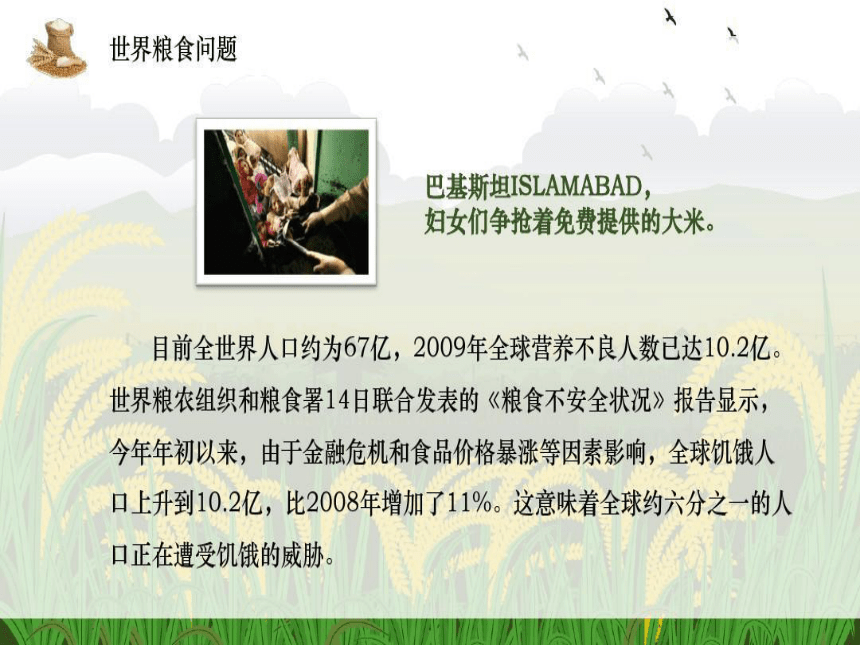 小学主题班会课件10月16日世界粮食日pdf版共22张ppt