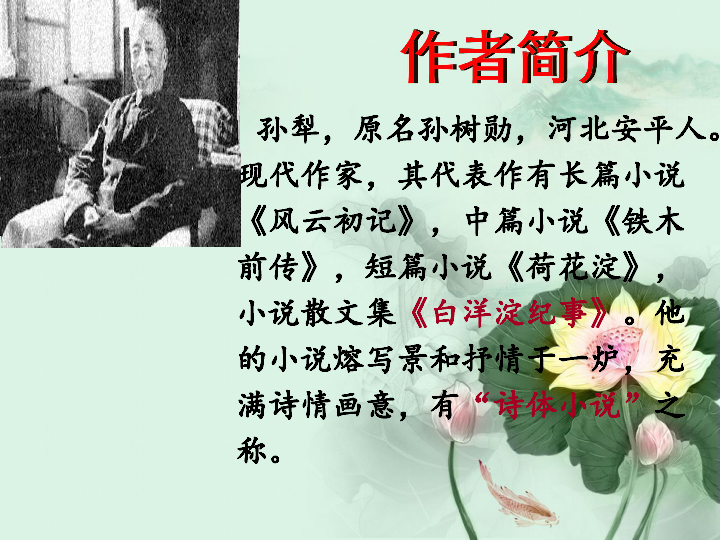 《荷花淀》(32张ppt)