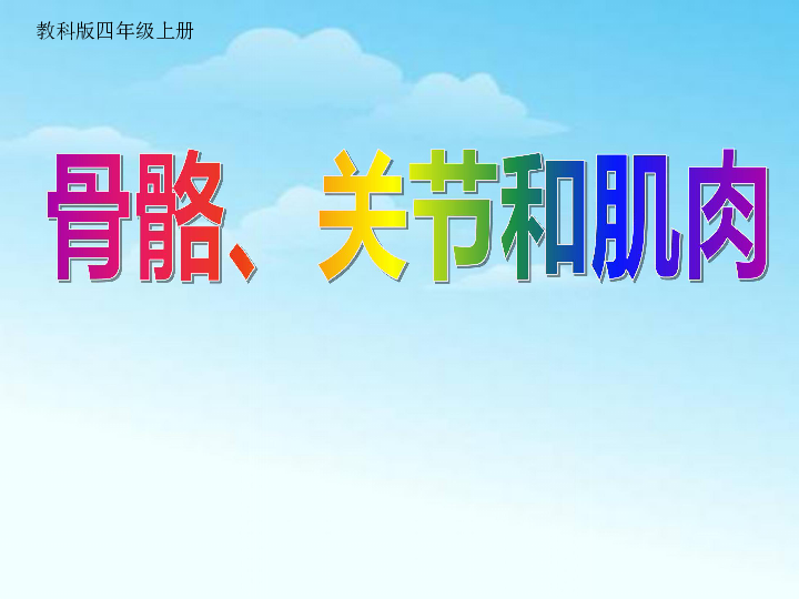 2骨骼,关节和肌肉 课件(19张ppt)
