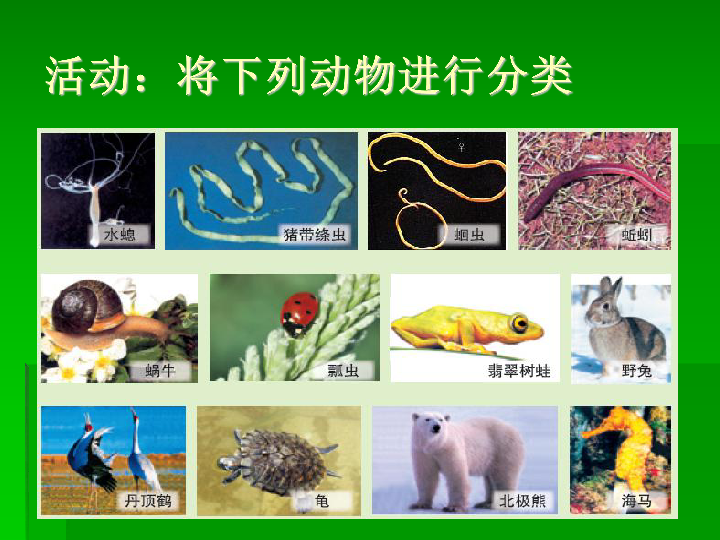 北师大版八下生物224动物的主要类群课件共30张ppt