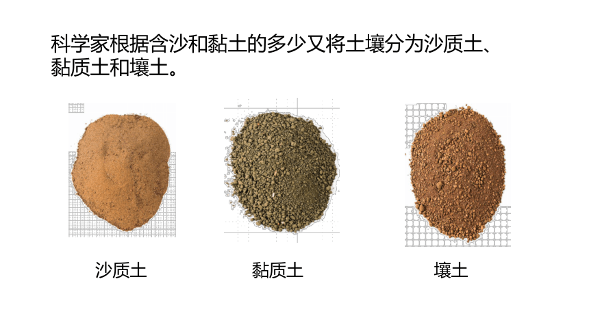 冀人版2017秋四年级科学下册12沙质土黏质土和壤土课件共13张ppt