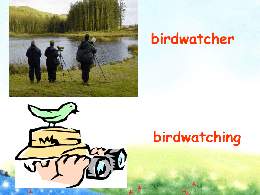 unit6birdwatchingwelcometotheunit课件56张