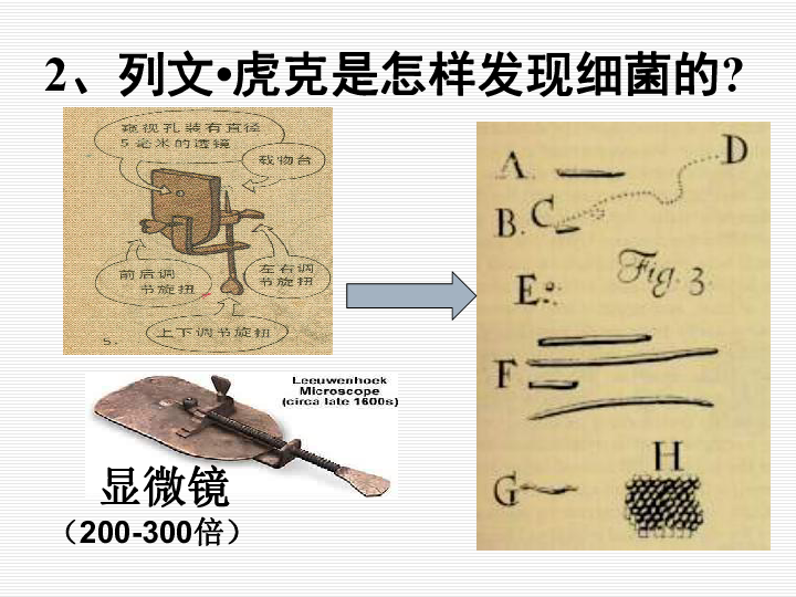 第二节 细菌观看视频一:细菌的发现最先发现细菌的人是谁?2,列文?虎