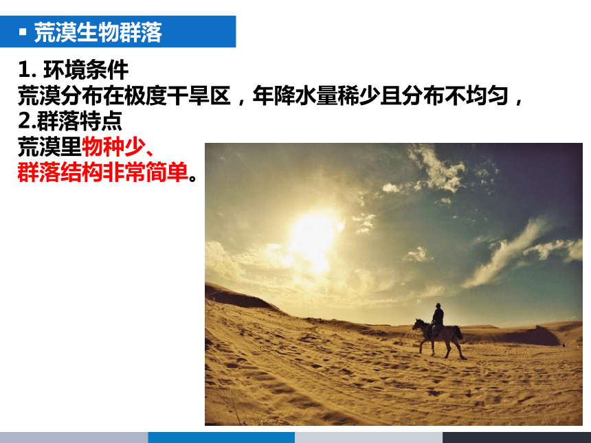 人教版2019高中生物选择性必修二22群落的主要类型课件28张