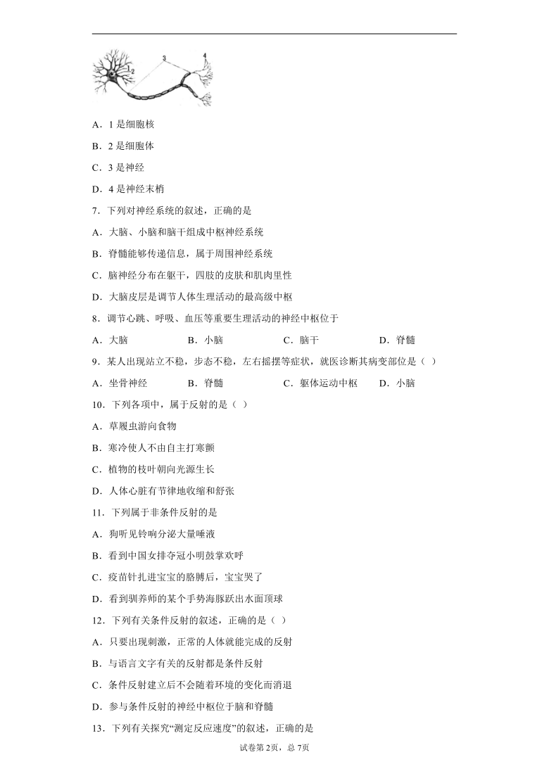 山东省泰安市泰山区2020-2021学年七年级下学期期中生物试题(word版含