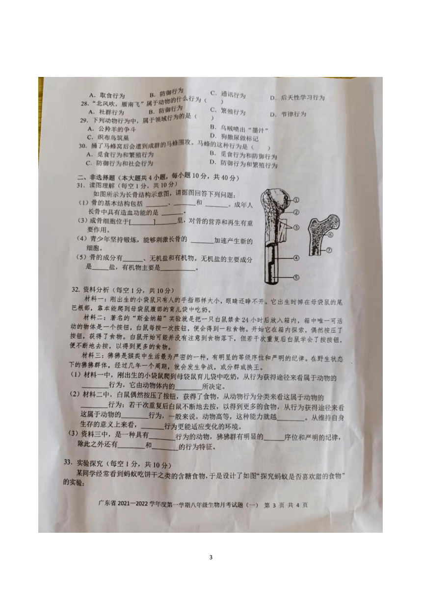 广东省20212022学年八年级上学期月考一生物试题图片版含答案