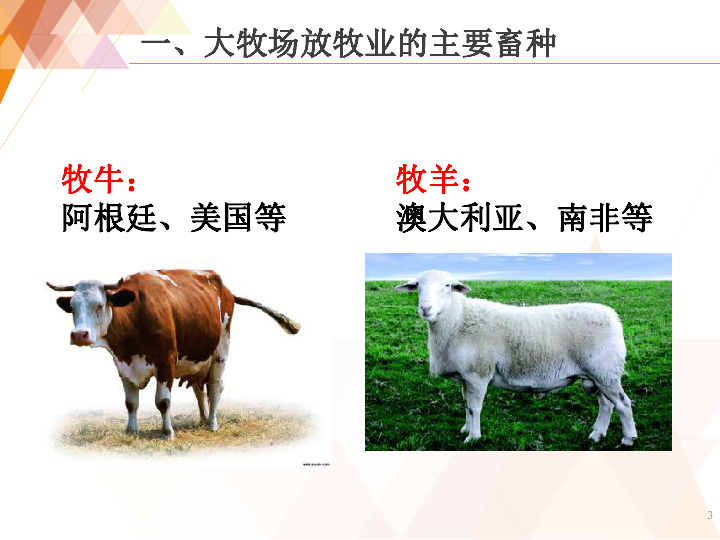 33以畜牧业为主的农业地域类型27张