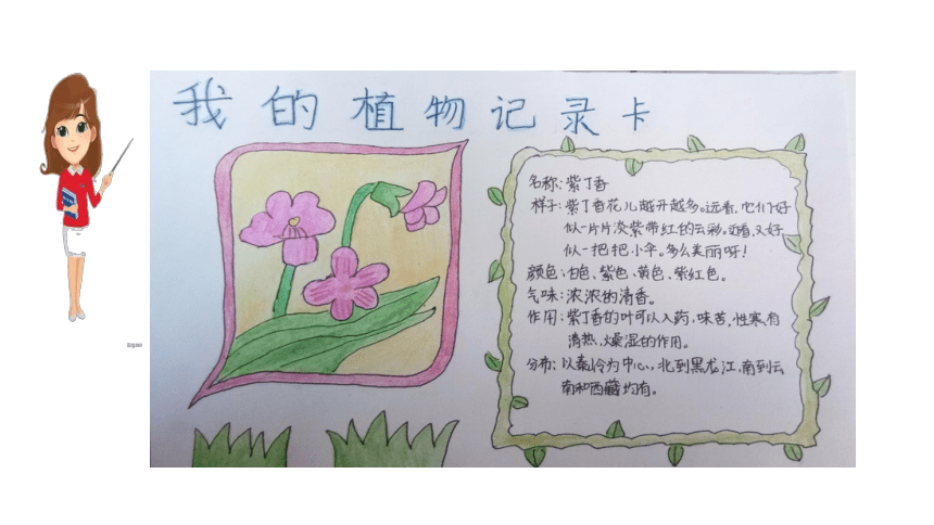 统编版三年级下册语文第一单元习作我的植物朋友课件共21张