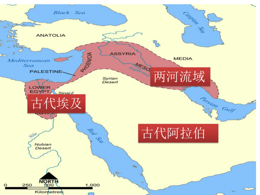 第3课古代西亚非洲文化课件25张ppt