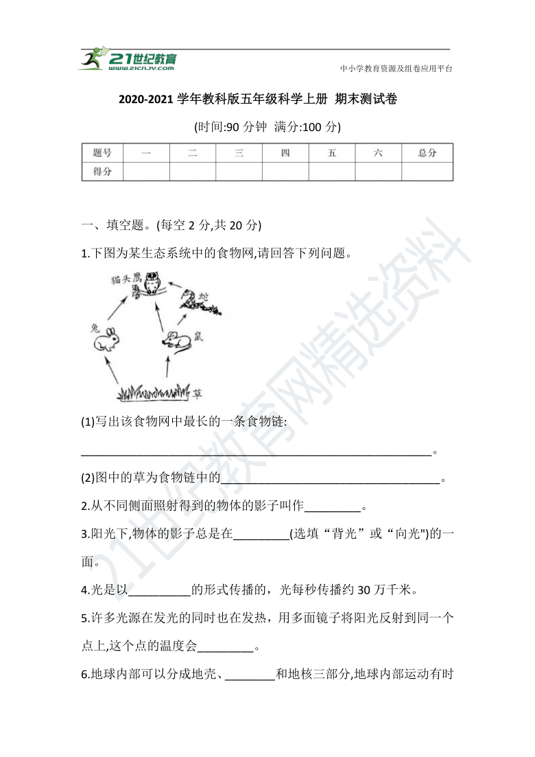 20202021学年教科版五年级科学上册期末测试卷含答案